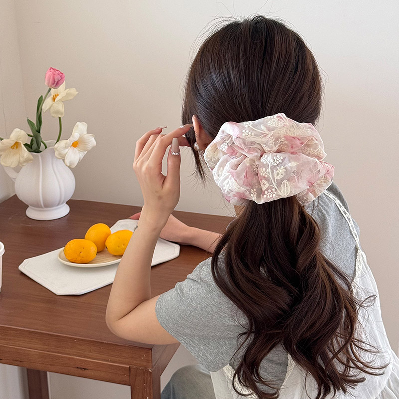 Eleganti elastici per capelli  - Embroidery Organza recensione e prezzo